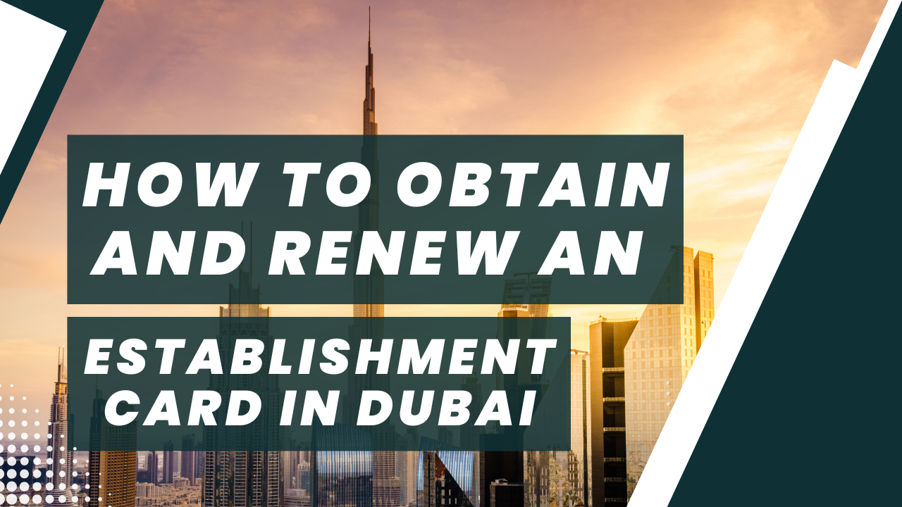 How to obtain and renew establishment card?