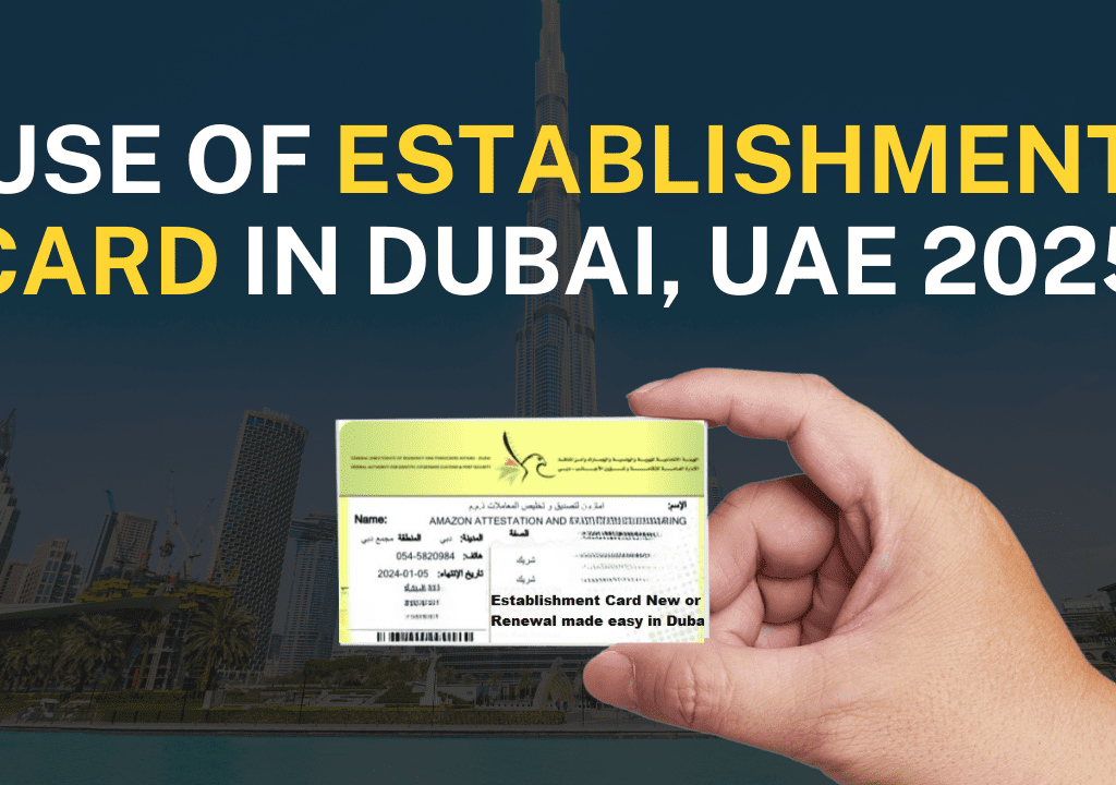 Establishment card in Dubai 2025 Ab capital services