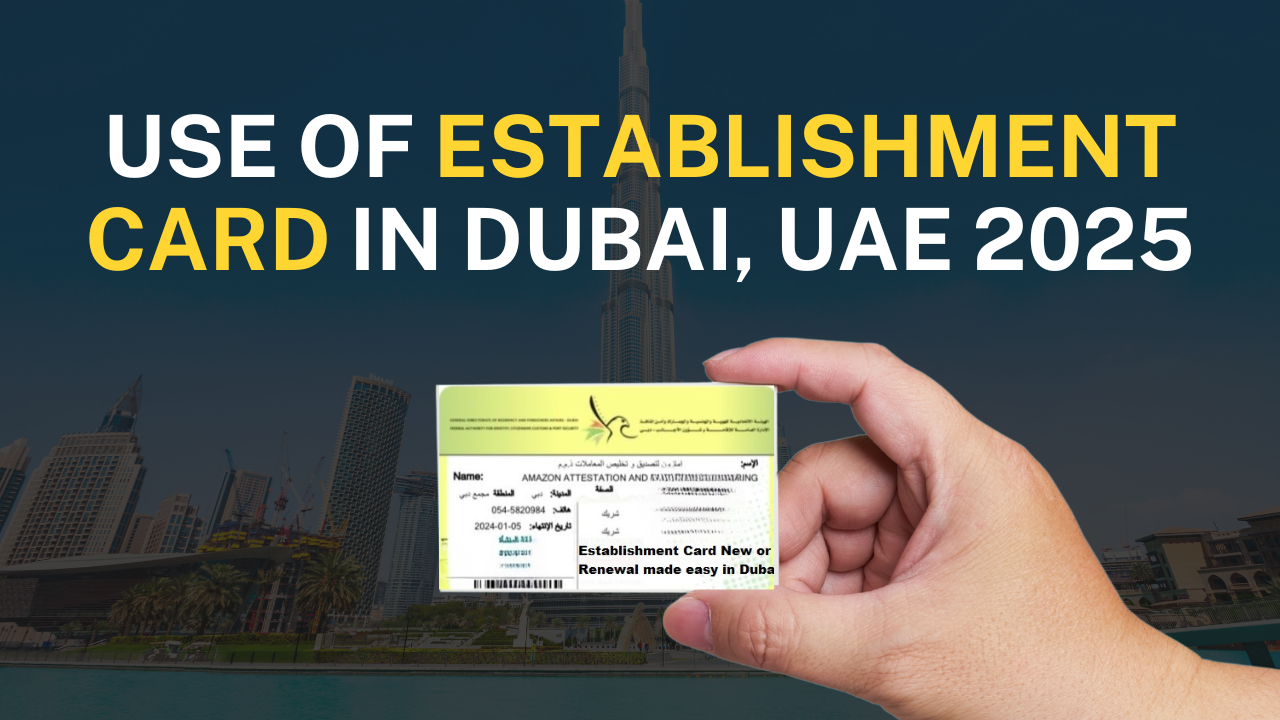 Establishment card in Dubai 2025 Ab capital services