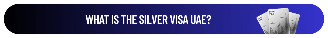 Silver Visa UAE