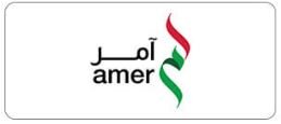 Amer Logo
